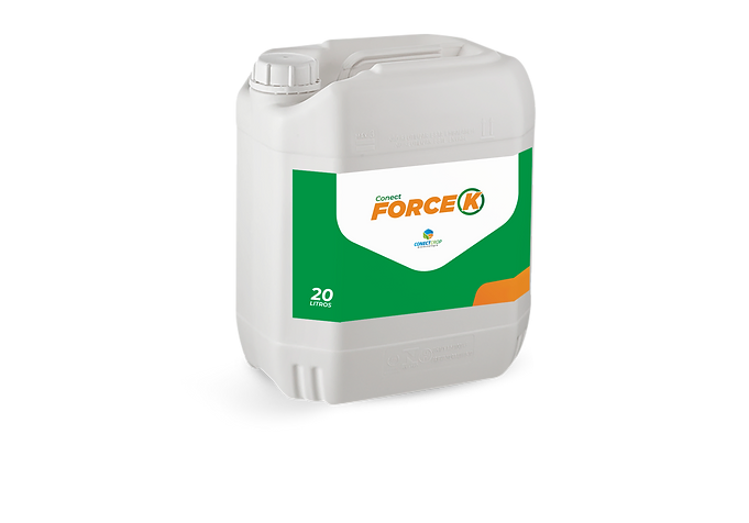 Conect Force K