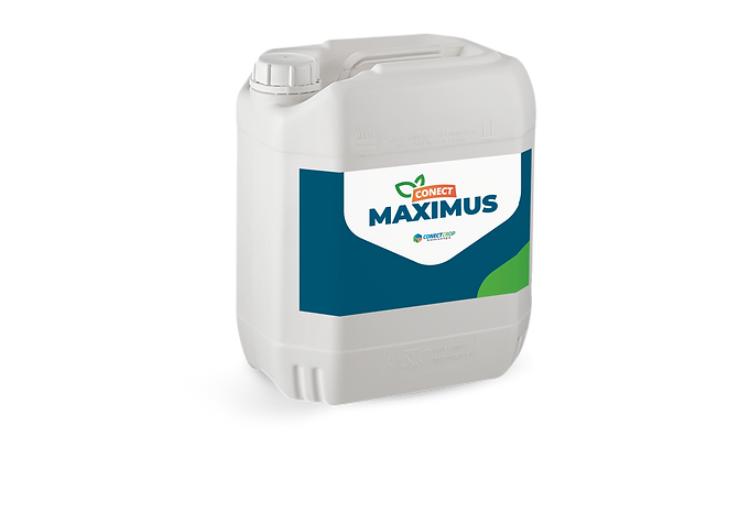 Conect Maximus